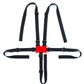 Stroller and Car Seat Replacement Parts/Accessories to fit Graco Products for Babies, Toddlers, and Children (Harness Straps ONL