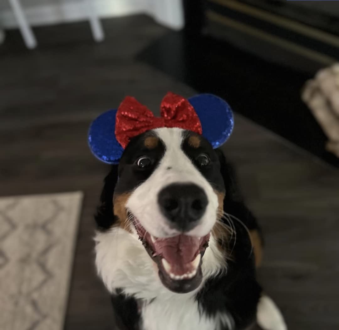 Clgift July 4Th Minnie Ears, Snow White Minnie, Red Silver Gold Blue Minnie Ears, Rainbow Sparkle Mouse Ears,Classic Red Sequin