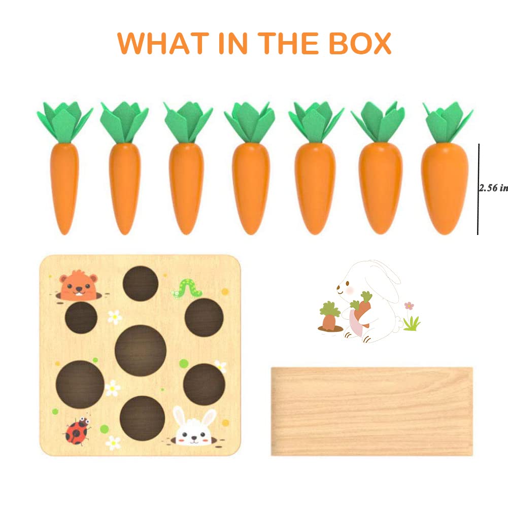 Montessoritoys for 1 Year Old, Wooden Toys Developmental Shape Sorting & Matching Puzzle Carrots Harvest Game, Birthday Gifts fo