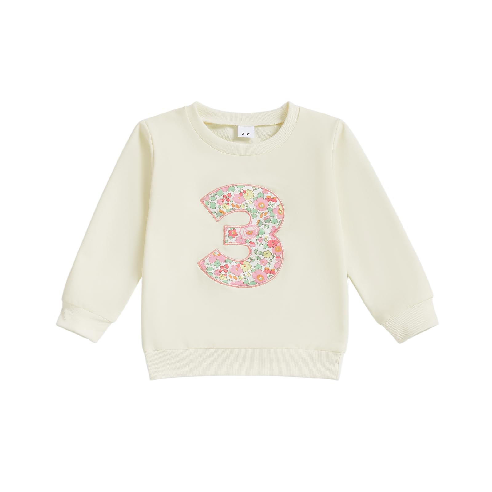 CREAIRY Toddler Baby Girl 1st 2nd 3rd 4th 5th 6th Birthday Outfit One Two Three Four Five Year Old T-Shirt Fall Sweatshirt (Thre