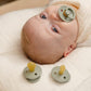 Bibs Pacifiers 0-6 Months | 2-Pack Soothers | Anatomical Nipple | Bpa-Free Natural Rubber | Made In Denmark | Sage/Hunter Green