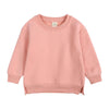 Rukosu Toddler Baby Boy Girl Fleece Pullover Sweatshirt Solid Color Crewneck Blouse Shirt Tops Warm Fall Winter Clothes Pink 2-3