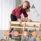 Avenlur Magnolia Indoor Playground 7-In-1 Jungle Gym Playset For Kids 2-6Yrs - Slide, Climbing Wall, Rope Wall Climber, Monkey B