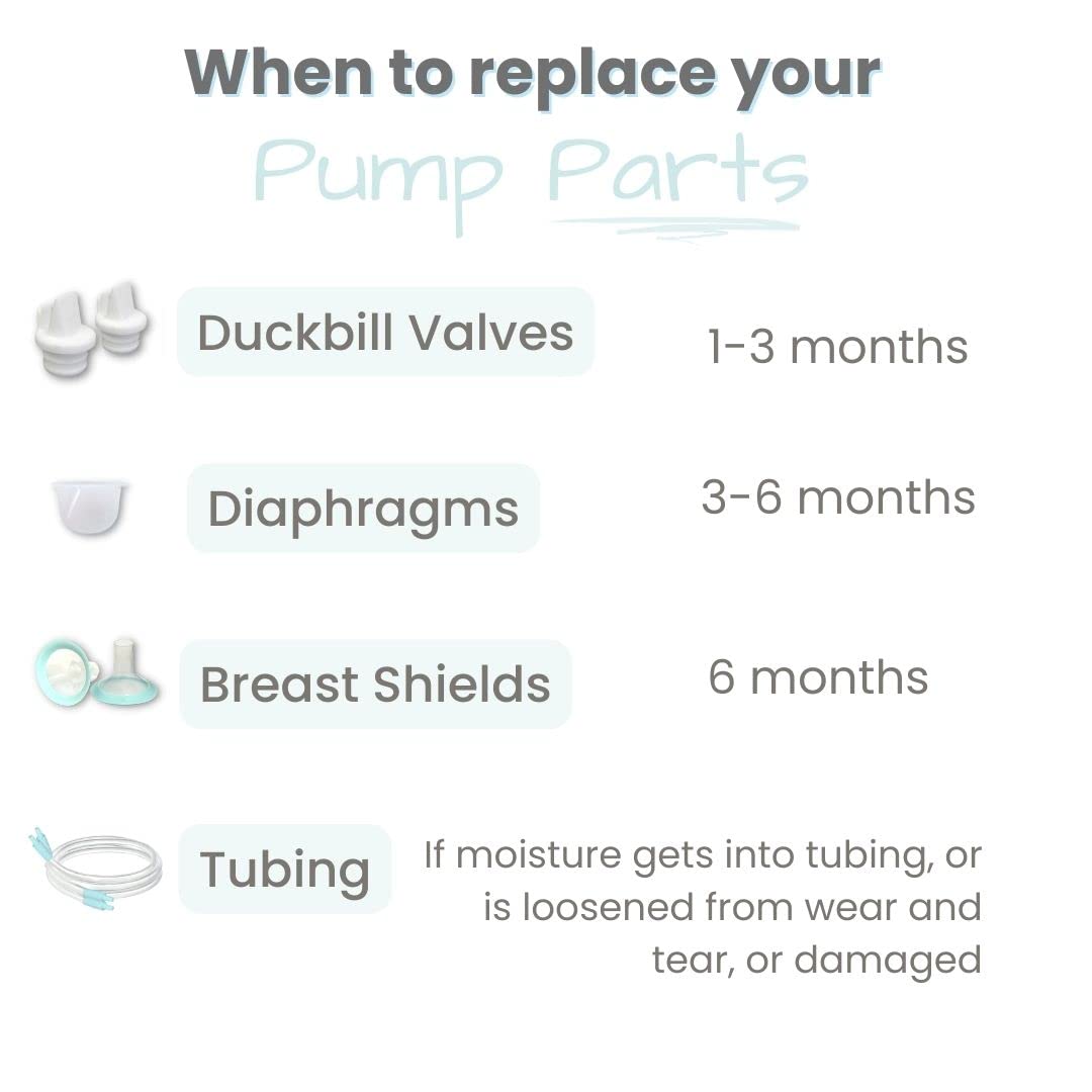 Zomee Double Breast Shield Kit Replacement Set for Z2 Size 24mm Includes; Breast Sheild Body, Diaphragms, Duckbill Valves, Tubes
