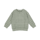 The Printed Sweatshirt - Sage Check