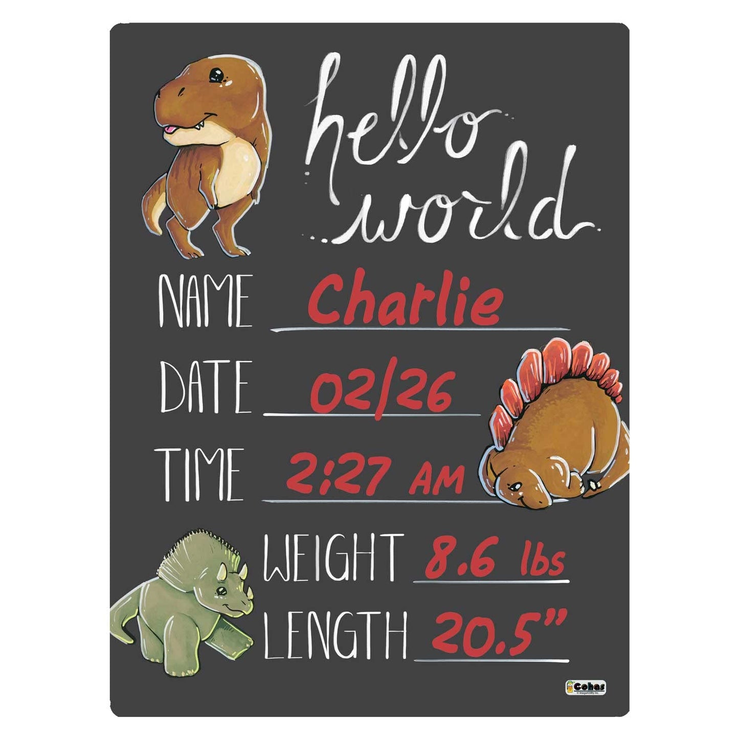 Cohas Hello World Newborn Baby Announcement Chalkboard Sign With Dinosaur Theme, 9 By 12 Inches, No Marker
