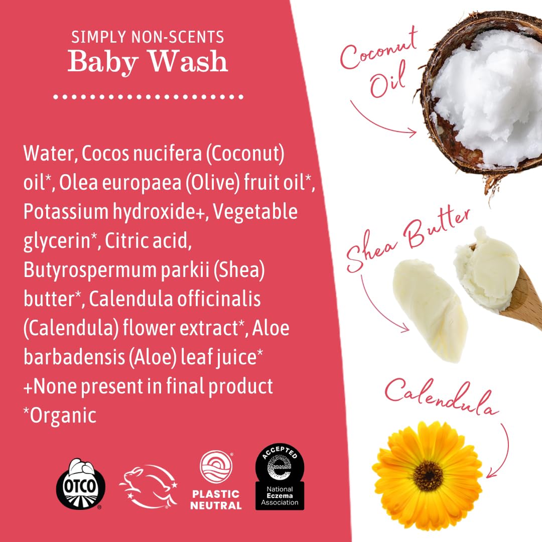 Earth Mama Simply Non-Scents Baby Wash Foaming Hand Soap, Organic Fragrance Free, Unscented Body Wash, Castile Soap with Coconut