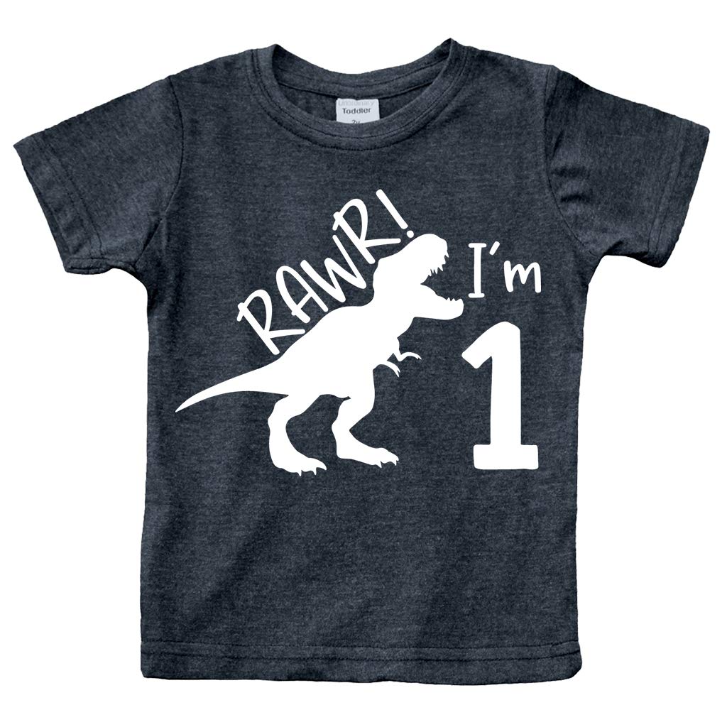 Rawr Im 1 Dinosaur First Birthday Boy Outfit 1St Roar One Year Old Dino Shirt Re WBBAPB08V8YHVBH
