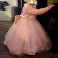 Baby Flower Girl Party Wedding Princess Dress,Sleeveless Floor Length Tutu Tulle Dance Birthday Gown 3T