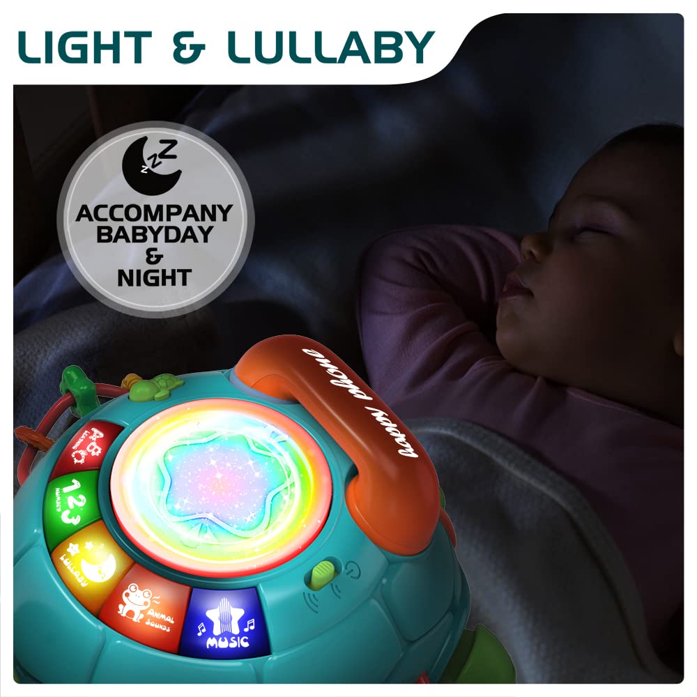 Baby Toys 6 to 12 Months, Musical Turtle Crawling Baby Toys for 12-18 Months, Early Learning Educational Toy with Light & Sound,