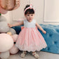 Nssmwttc Princess Girls Ball Gown Dress Child Birthday Party Christmas New Year Dresses Toddler Christmas (Pink01,90)