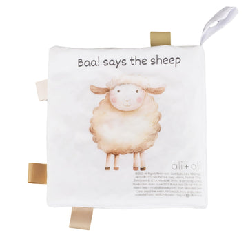Ali+Oli Baby Cloth Book - Soft Sensory Crinkle Book for Infants 0-12 Months - Early Learning Touch & Feel Tummy Time Toy - Color