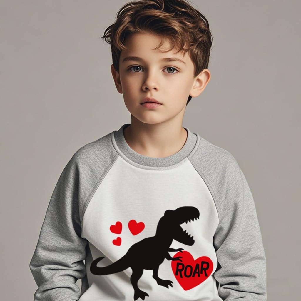 Xfsjgna Valentines Sweatshirts For Girls 6T Toddler Boys Valentine'S Day Dinosaur Heart Graphic Shirt Kids Long Sleeve Tops Gray