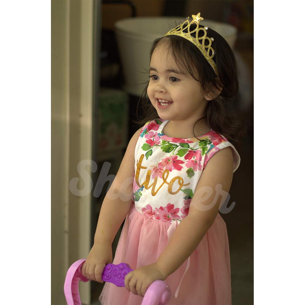 Shalofer Baby Little Girl Two Year Old Birthday Skirt Set Baby Girls 2Nd Birthday Floral Outfit Sets (Pink-Twogold, 2 T)