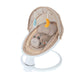 Nuby Baby Swing with Canopy and Remote - 5-Level Infant Swing with Soothing Sounds and Mobile App Control - 0-9 Months - Tan