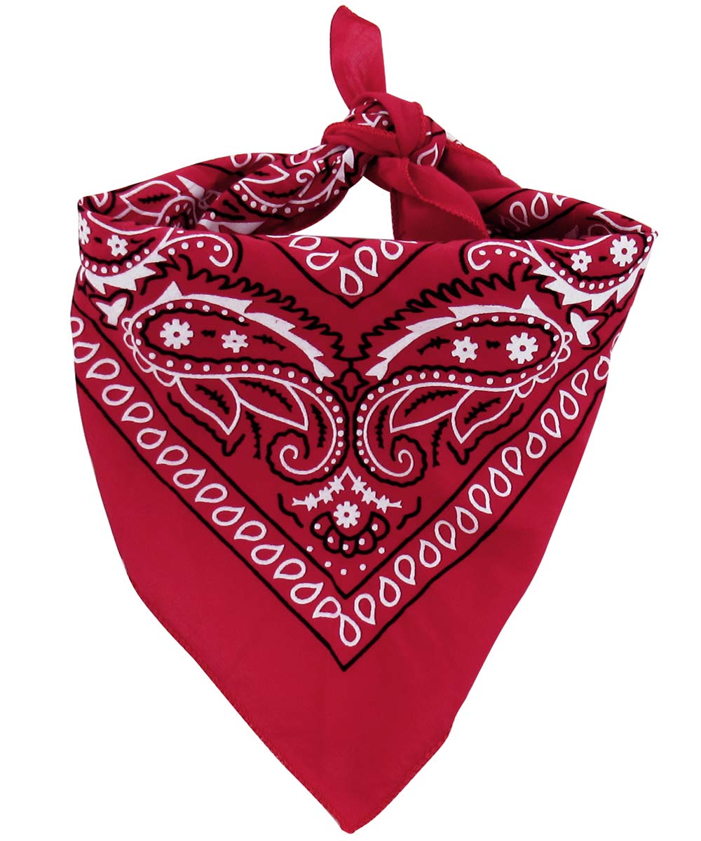 A&J Design Toddler Boys' Western Cowboy Romper Halloween Costume Set (18-24 Months, Brown)