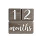 Lovelysprouts Premium Solid Wood Baby Milestone Age Blocks + Gift Box  Gray Stained Natural Pine  Weeks Months Years Grade Newbo