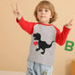 Toddler Boys Girls Valentines Day Gifts Dinosaur Love Heart Shirt For Kids Red Raglan Tees 4 Years