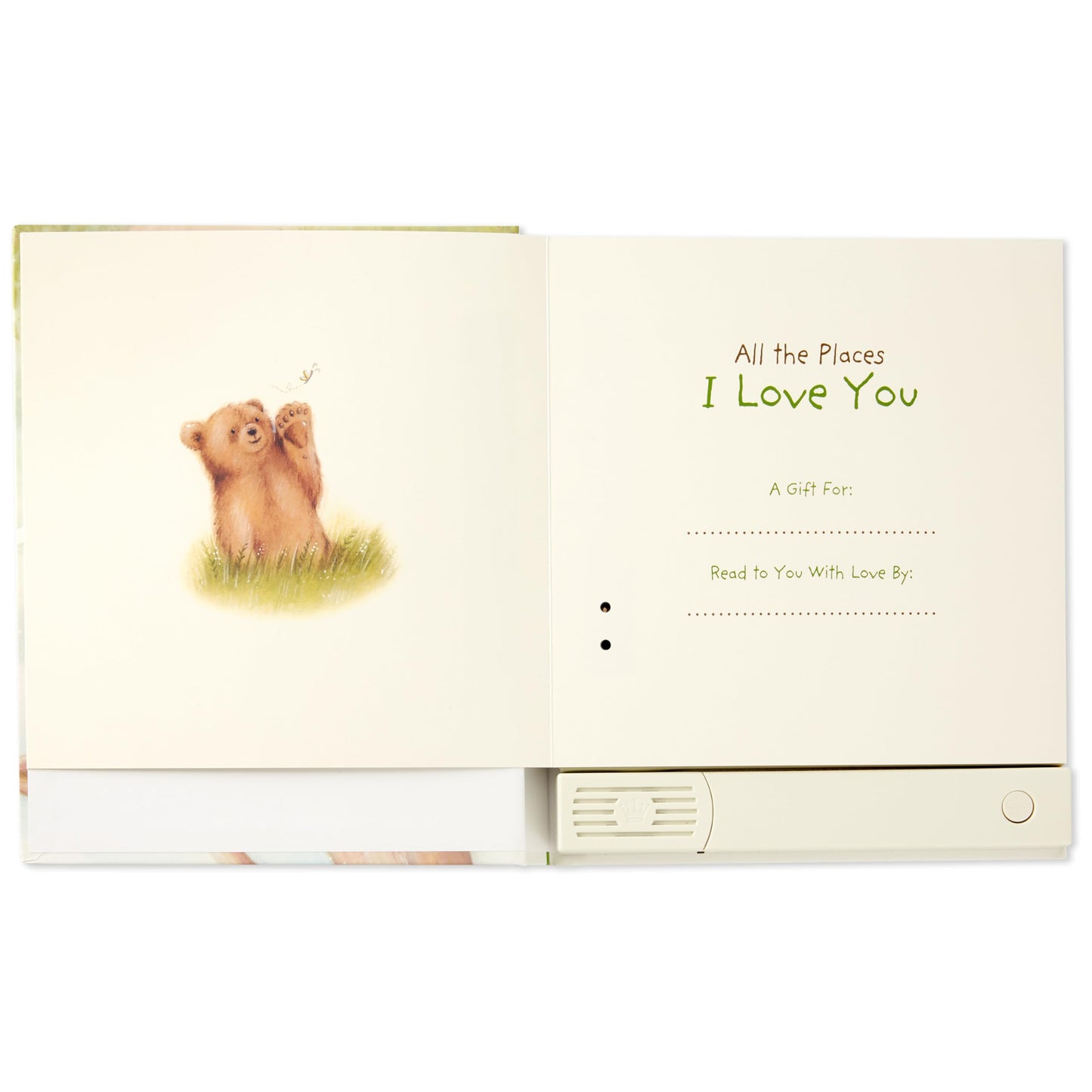 Hallmark Recordable Book with Music for Children (All The Places I Love You)