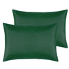 Ntbay Zippered Silk Satin Toddler Pillowcases - 2 Pack Hidden Zipper 13X18 Pillowcases - Luxury And Silky Baby Travel Pillow Cov