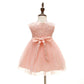 Carecheer Pink Baby Girl Christening Dress Baptism Dedication Blessing Gown Special Occasion Dresses With Floral Embroidered (Us