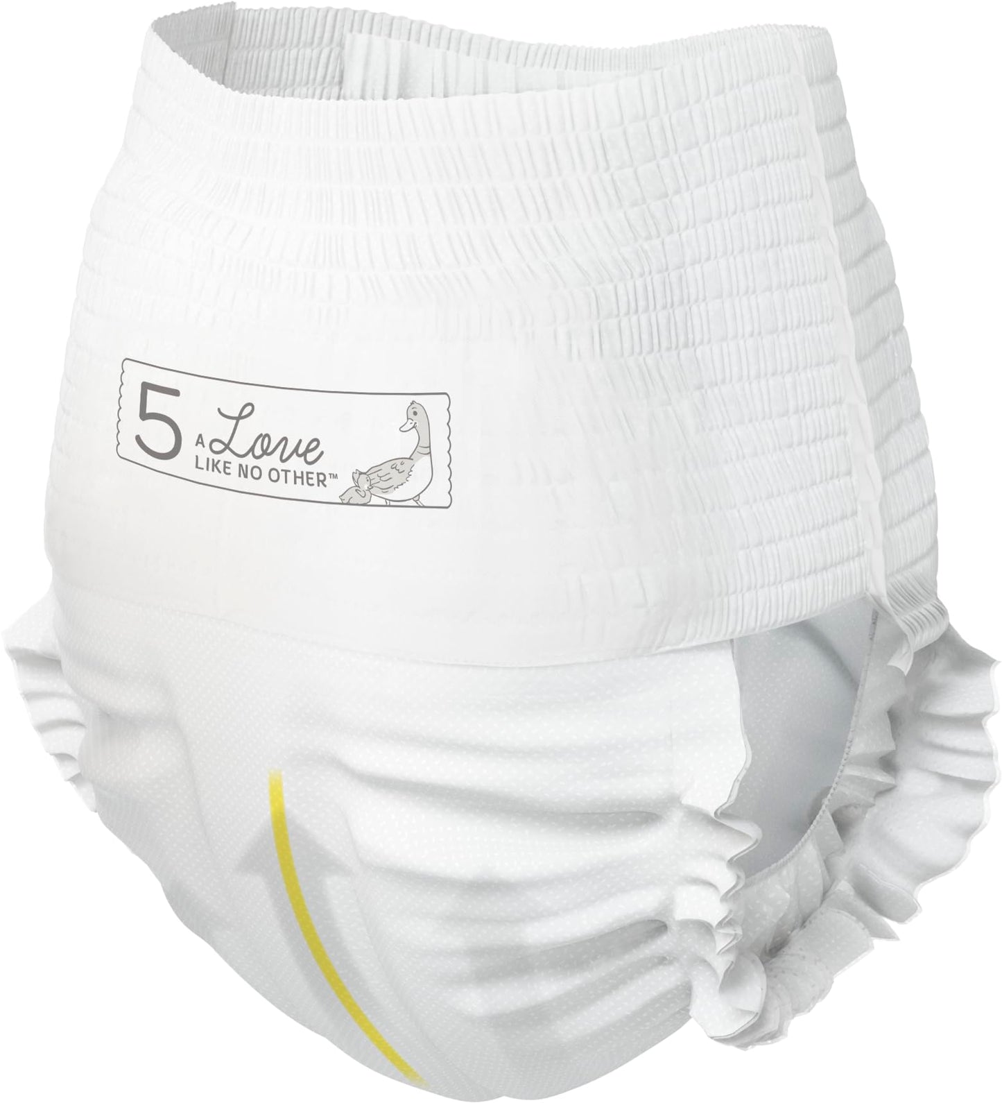 Bambo Nature Premium Training Pants (Sizes 4 To 6 Available), Size 5, 200 Count