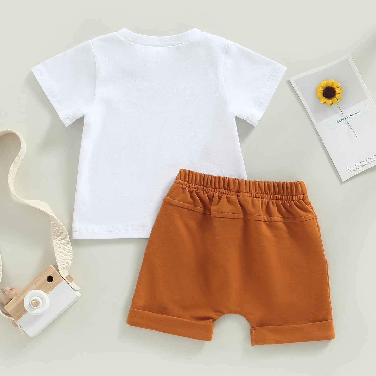 Toddler Baby Boy Summer Outfit Short Sleeve T Shirt Top Casual Shorts Set Infant Newborn Clothes 6 12 18 24 Month 2T (Little Fly