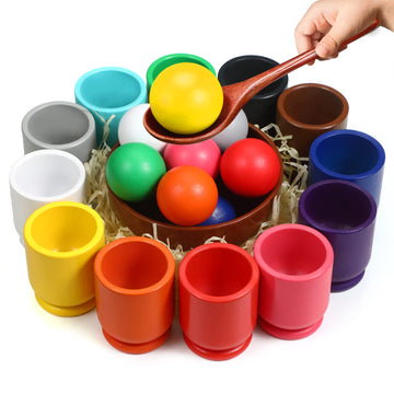 Montessori Large Balls in Cups Toy Wooden Color Sorting Toy 12 Balls 40mm Matching and Counting Toy