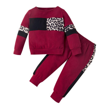 Wesidom Baby Girl Clothes Sets, 2Pcs Autumn Long Sleeve Clothes Outfits Toddler Girl Sweater Sets