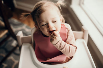 Three Little Tots Modern Silicone Baby Bib - Adjustable Fit Waterproof Catch Bibs ((Rose)