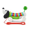 LeapFrog AlphaPup (Frustration Free Packaging), Green