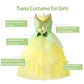 Mdycw Princess Tiana Fairy Costume Halloween Dress Up For Girls, Special Occasion Dresses Birthday Party Fancy Outfits 8-9T