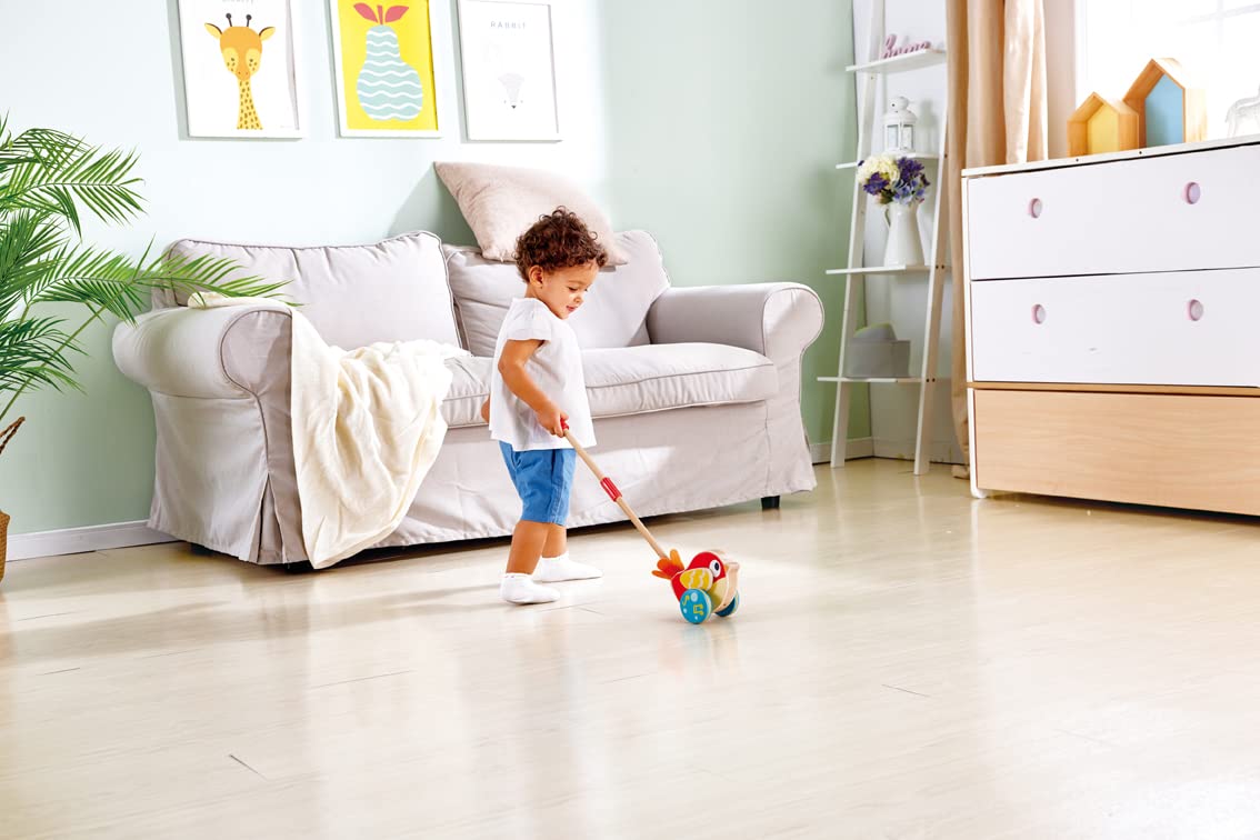 Hape Lilly Musical Push Along | Wooden Push Along Baby Walking Bird, Playful Kids Toy with Detachable Stick, Multicolor, 22.05 I