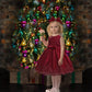 Baby Christmas Embroidery Lace Dresses Little Kid Easter Halloween Wedding Formal Event Dress (Burgundy 8348,24M)