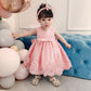 Baby Christmas Embroidery Lace Dresses Little Kid Easter Halloween Wedding Formal Event Dress (Pink02 8348,24M)