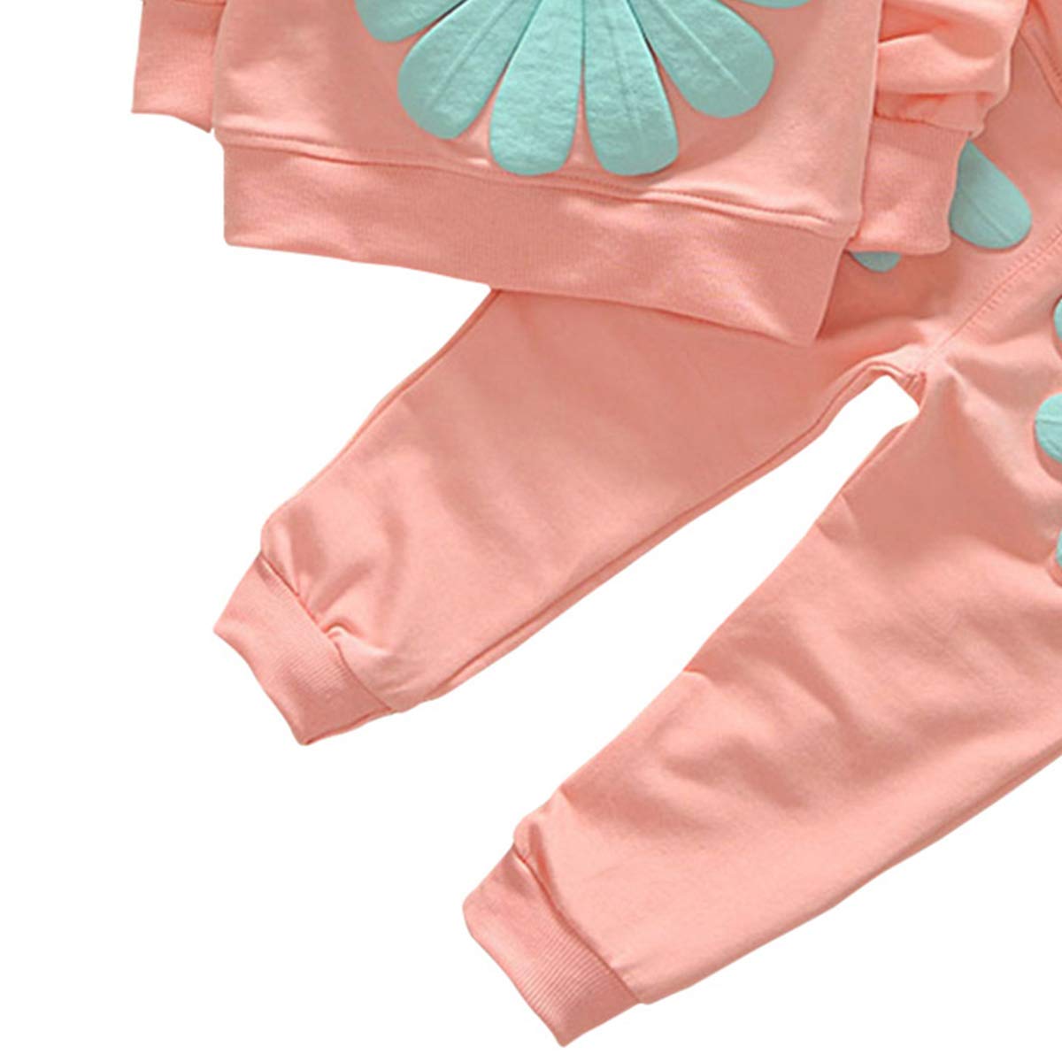 Toddler Baby Girls Sunflower Clothes Set Long Sleeve Top And Pants 2Pcs Outfits Fall Clothes (Age(2T), Pink)