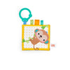 Bright Starts Safari Buddies Soft Book, Crinkle Plush Pages with Lion, Monkey, Elephant & More, Babys First Book, Unisex, Ages 