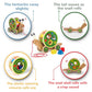 Award Winning Hape Walk-A-Long Snail Toddler Wooden Pull Toy, L: 11.9, W: 4.4, H: 7.3 inch