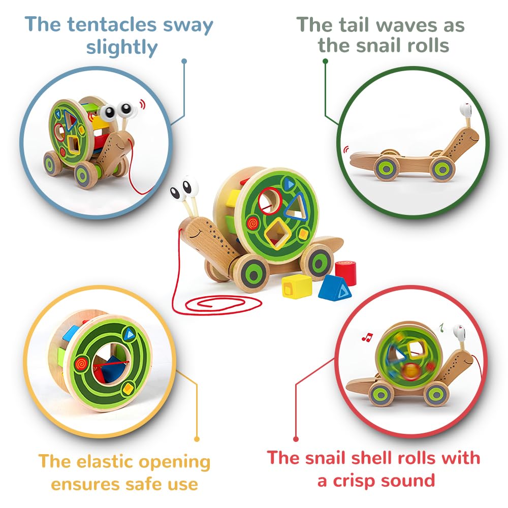 Award Winning Hape Walk-A-Long Snail Toddler Wooden Pull Toy, L: 11.9, W: 4.4, H: 7.3 inch