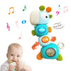 Baby Musical Toys for 3-6 6-12 Months, Newborn Infant Rattle Toys, Learning Educational Musical Toys for Boys Girls (Blue)