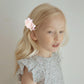 Flower Hair Clip Bfnaagirl Baby Girl Hair Bows Hair Accessories Alligator Clips For Infants Toddlers Gift (One Size, Flower8058)
