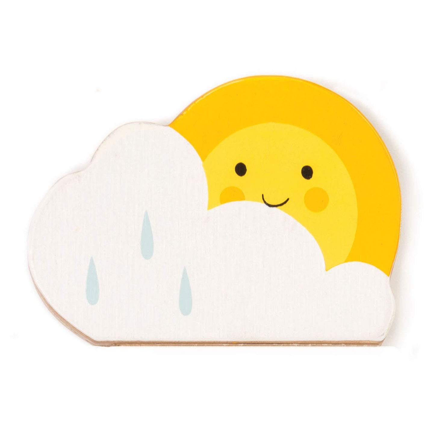 Tender Leaf Toys - Rainmaker - Portable Rain Sound Making Toy, Early Education Musical Instruments for Baby and Kids, Sensory To