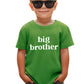 Sanixjoo Big Brother Shirt For Toddler Promoted To Best Big Brother Announcement Baby Boys Summer Short Sleeve Clothes(Green,2-3