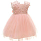 Carecheer Pink Baby Girl Christening Dress Baptism Dedication Blessing Gown Special Occasion Dresses With Floral Embroidered (Us