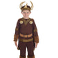 Fun Shack Boys Viking Costume Kids Boy, Kids Viking Costume Boys, Child Viking Costume Girl, Kids Viking Costumes, Medium