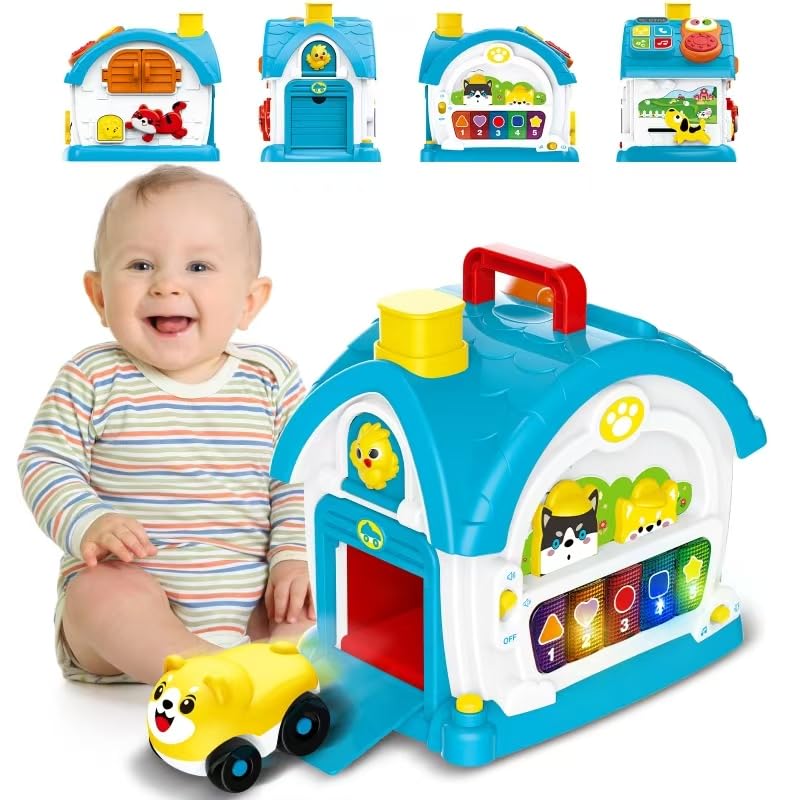 DELUTIQUE Learning Toys for 1 Year Old Boy Gift, Muscial Toys for Toddler 1-3, Educational Toy Baby 12-18 Months with Mirror, Pl