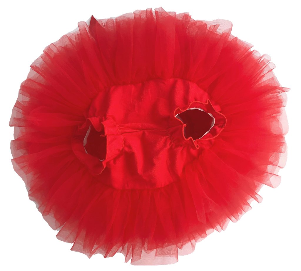 Dancina Baby Bloomer Romper Tutu Skirt Ages 6-24 Months Red