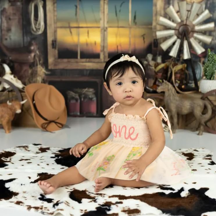 Titkkop Baby Girl 1St Birthday Clothes One Year Old Tulle Romper Sleeveless Bodysuit Cake Smash Outfits(Apricot1,12-18M)