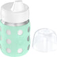 Lifefactory 8-Ounce Stainless-Steel Vacuum-Insulated Wide-Neck Baby Bottle With Hard Sippy, Mint (Ls2221Wmi4)