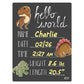 Cohas Hello World Newborn Baby Announcement Chalkboard Sign With Dinosaur Theme, 9 By 12 Inches, No Marker